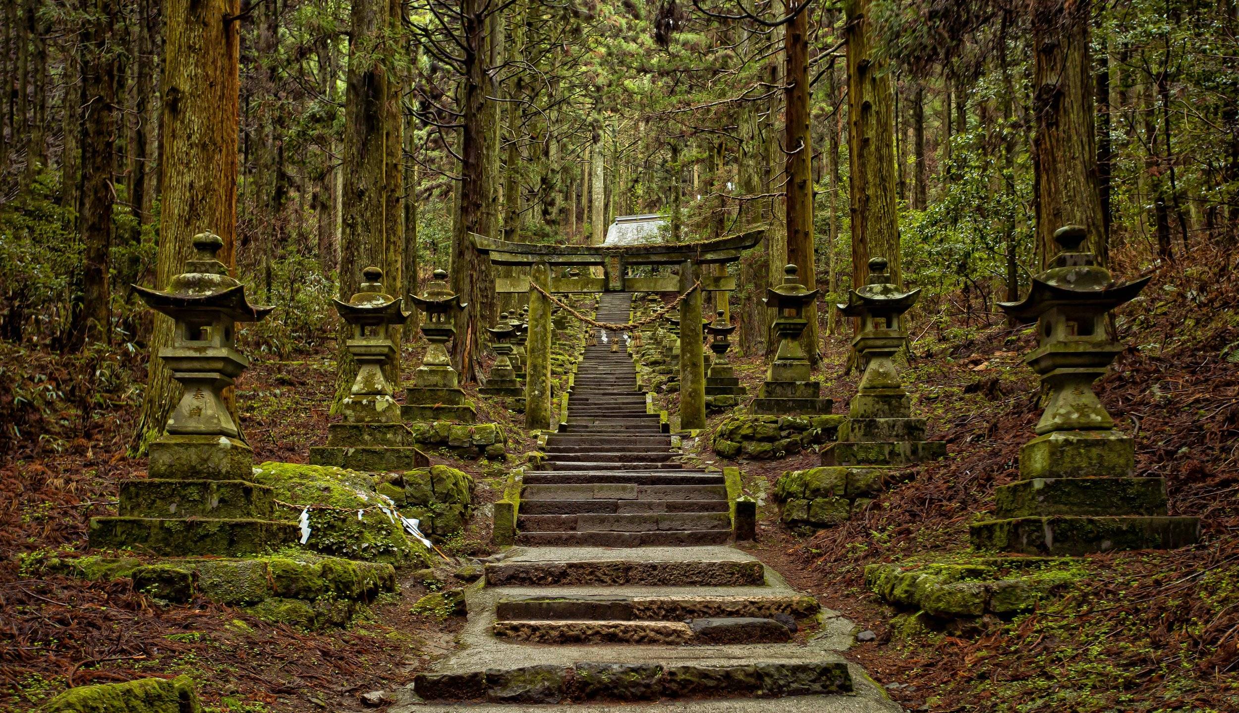 ⛩️ 구마노 신사 이미지 7